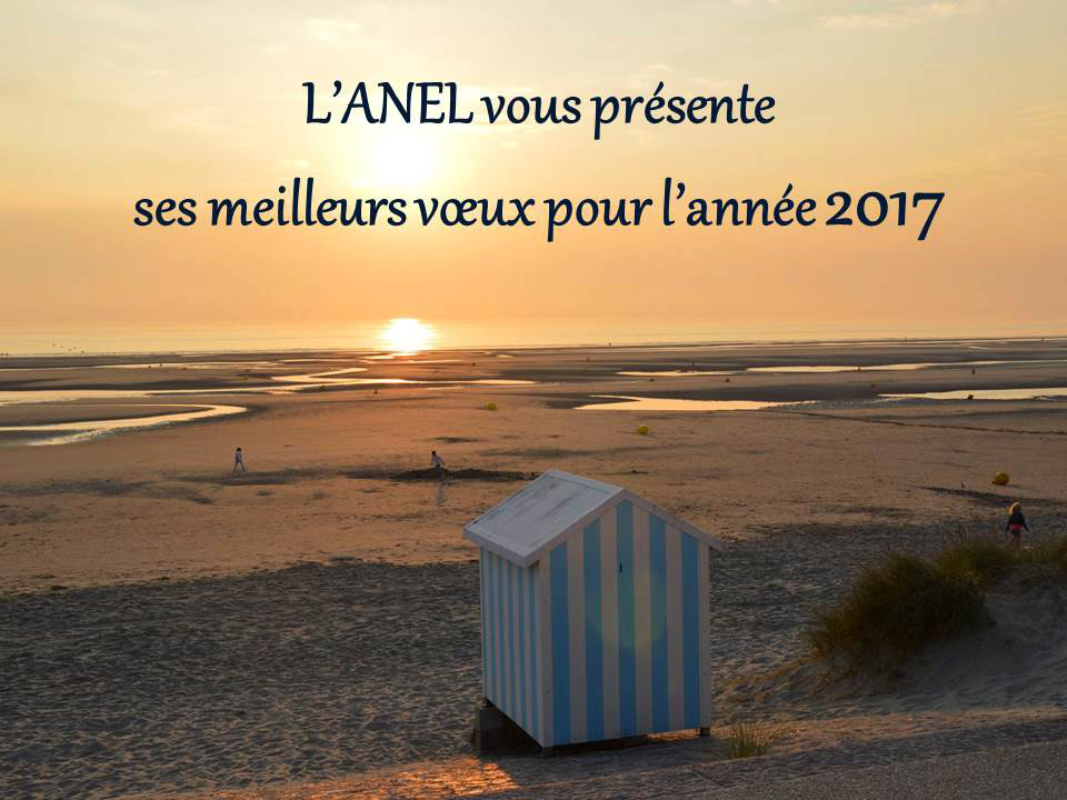 voeux-anel-2017