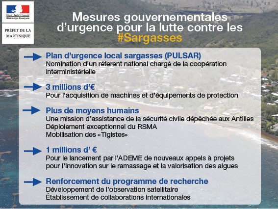 mesures sargasses