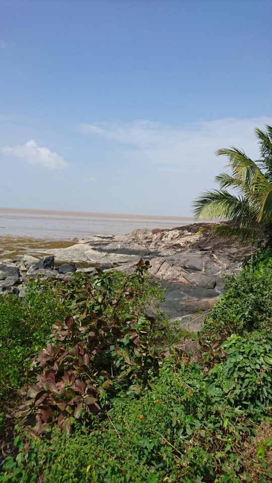 littoral guyane atelier EUCC France